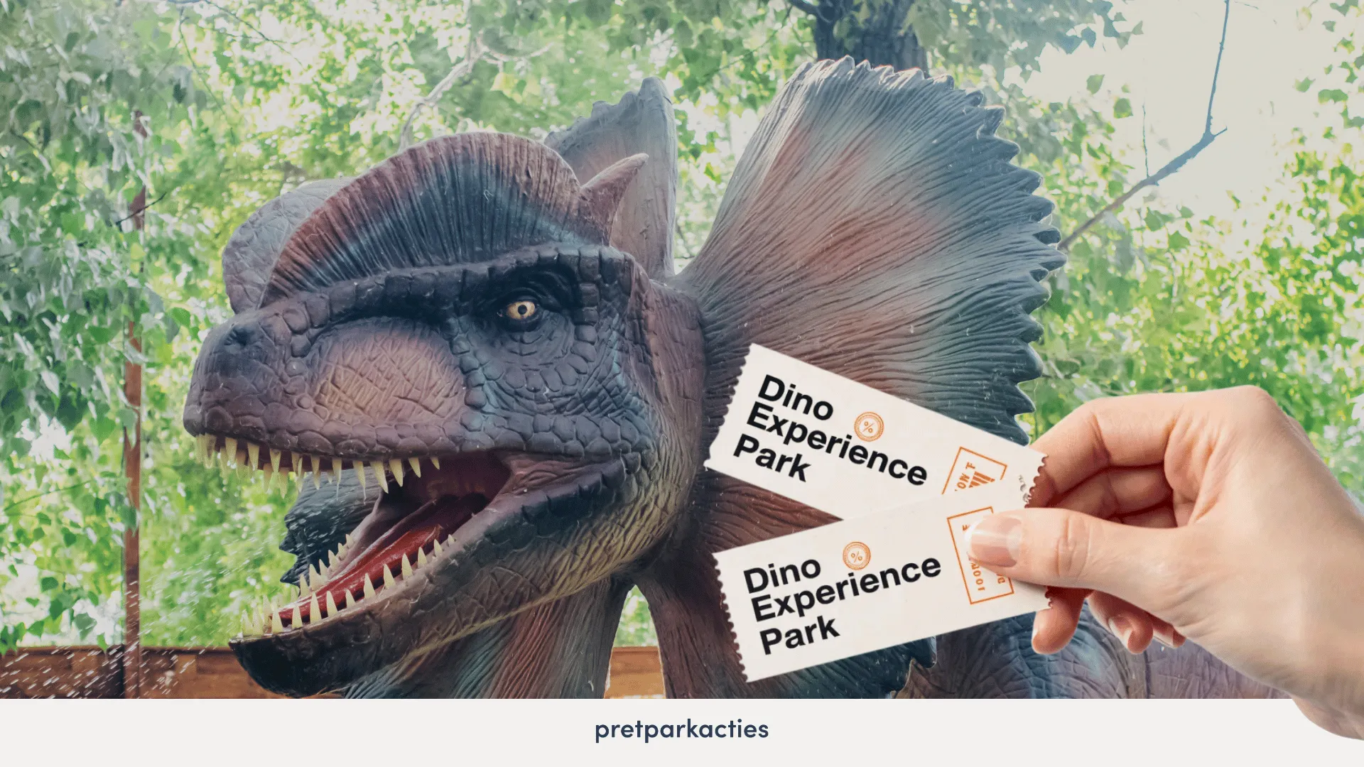 Dino Experience Park korting